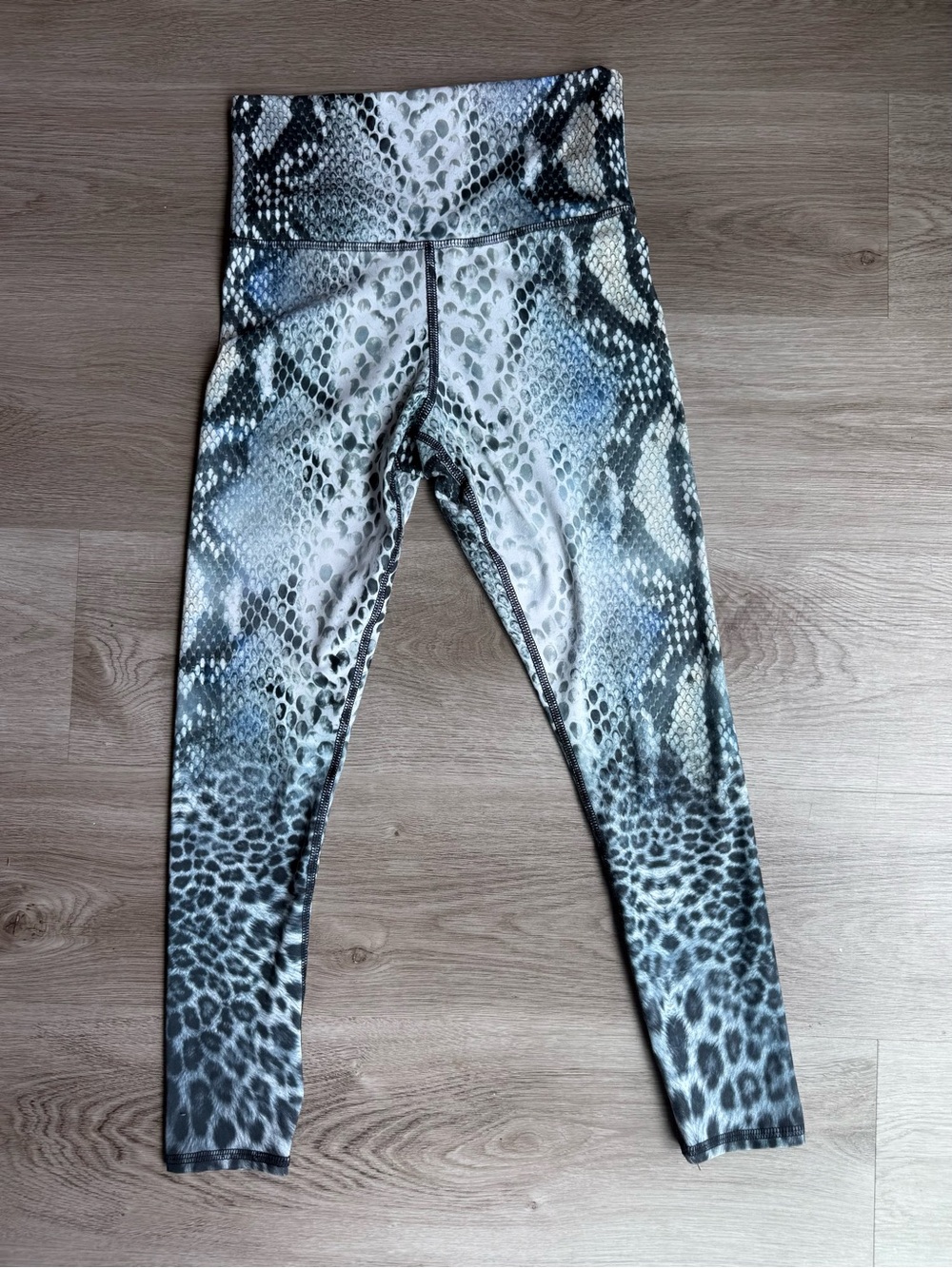 Evolution and Creation Gray & Black Snake-Print Legging